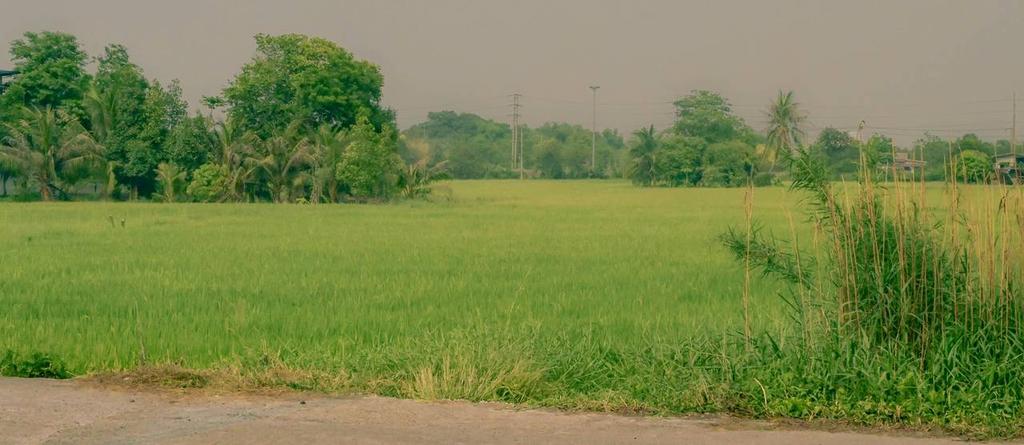 Land Acquisition