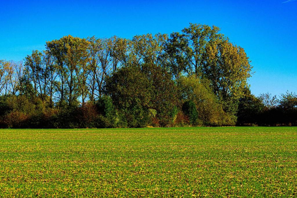 Land Acquisition